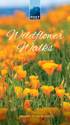 Wildflower Walks