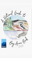 Bay Area Birds Guide