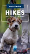Dog-Friendly Hikes