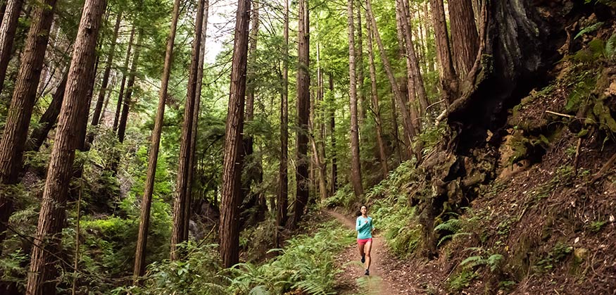 A runner races past towering redwoods on a fern-lined dirt trail.