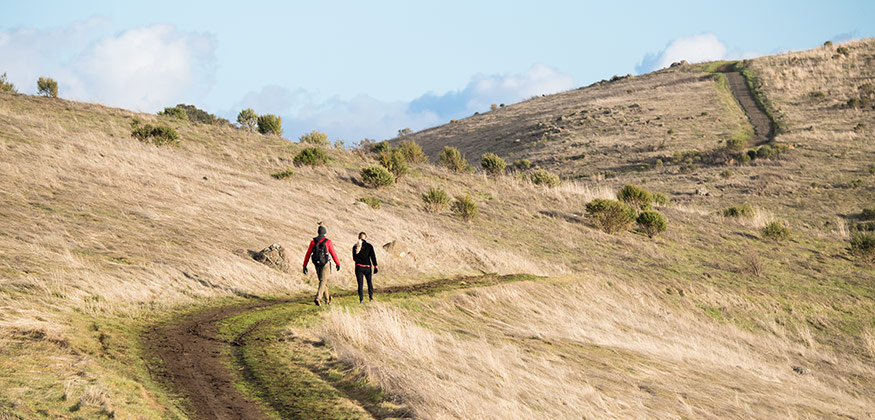 Two hikers walk on a hiking trail amid yellow hillsides on a clear day.