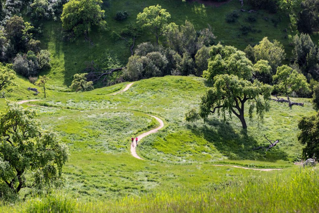 Coyote Valley Open Space Preserve